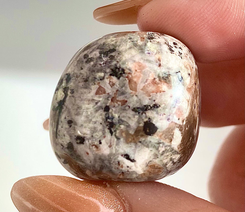 Polished Sodalite Syenite Tumble