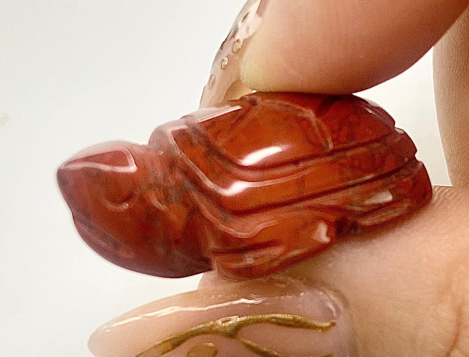 Hand Carved Lucky Turtle