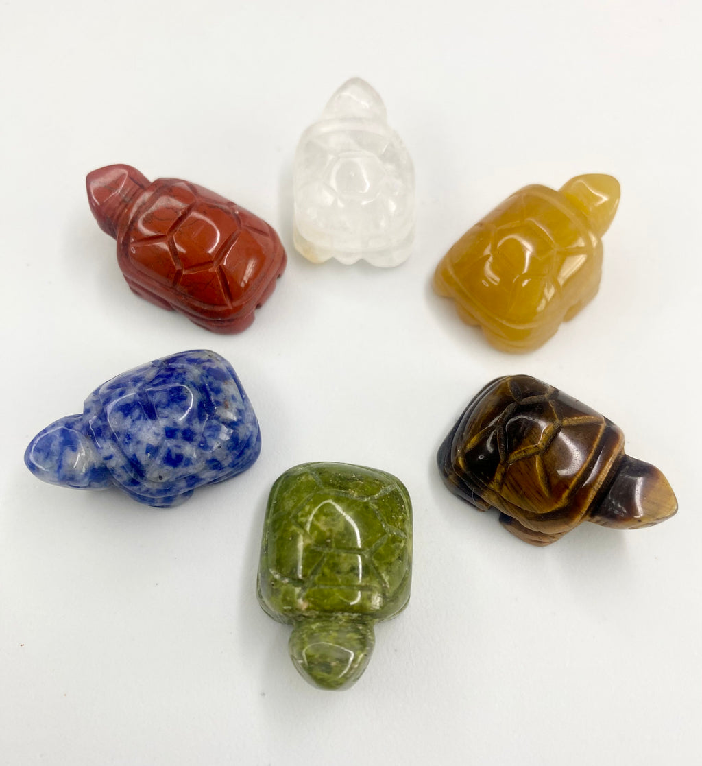 Hand Carved Lucky Turtle