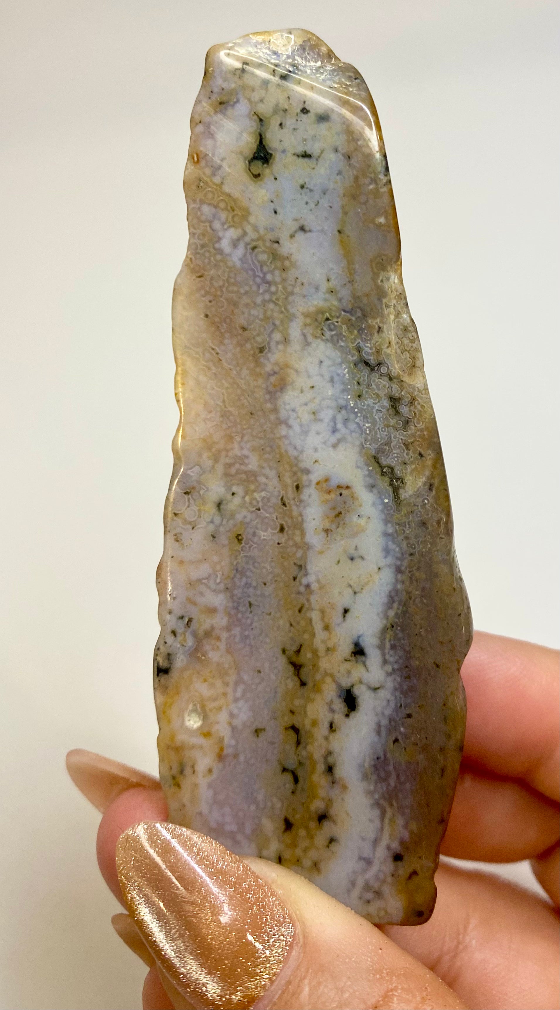 Polished Slice Ocean Jasper