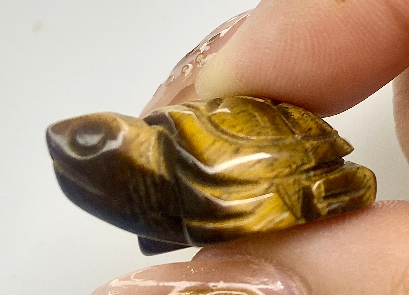 Hand Carved Lucky Turtle
