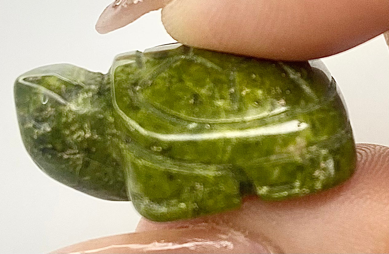 Hand Carved Lucky Turtle