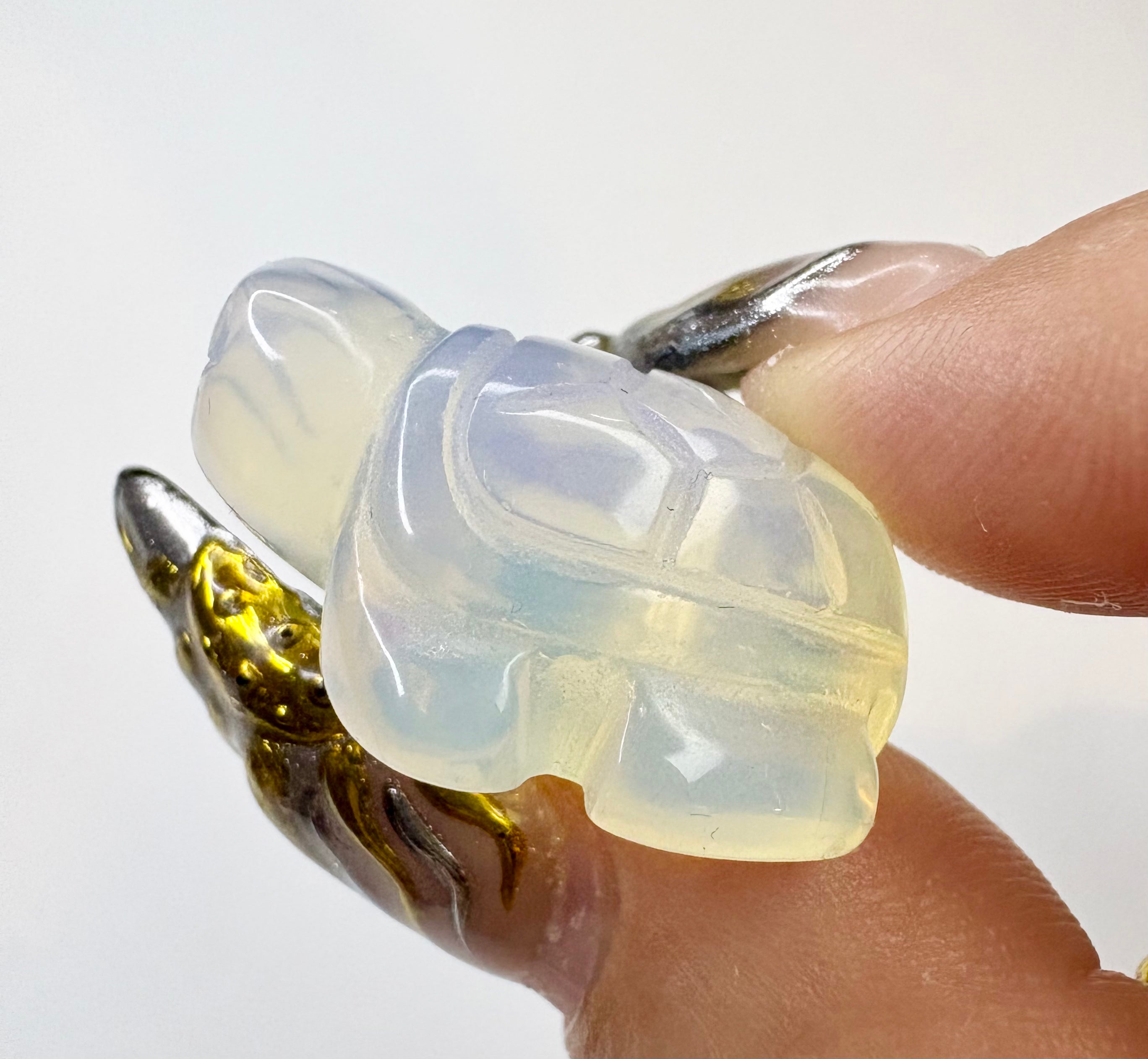 Hand Carved Lucky Turtle