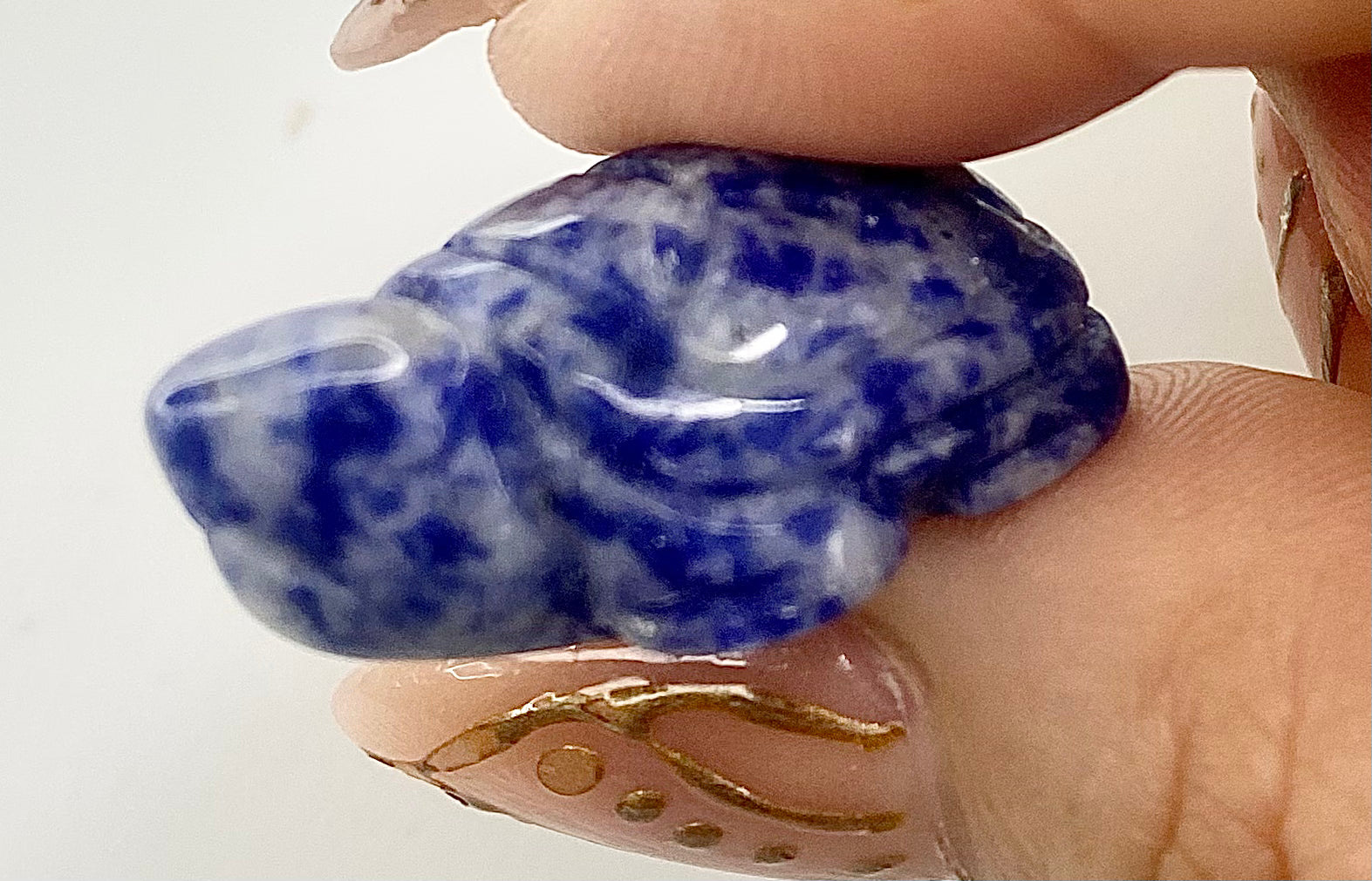 Hand Carved Lucky Turtle