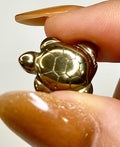 Mini Carved Pyrite Turtle