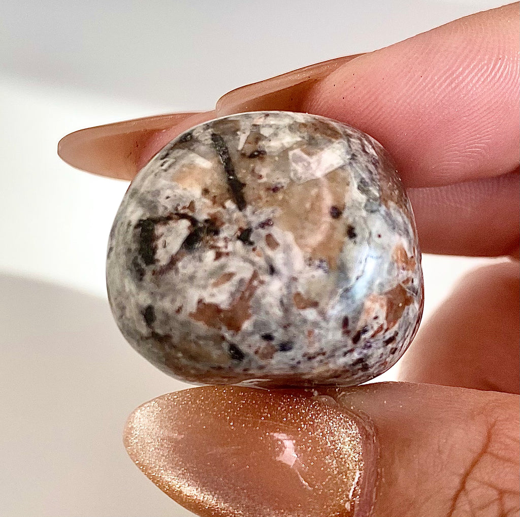 Polished Sodalite Syenite Tumble