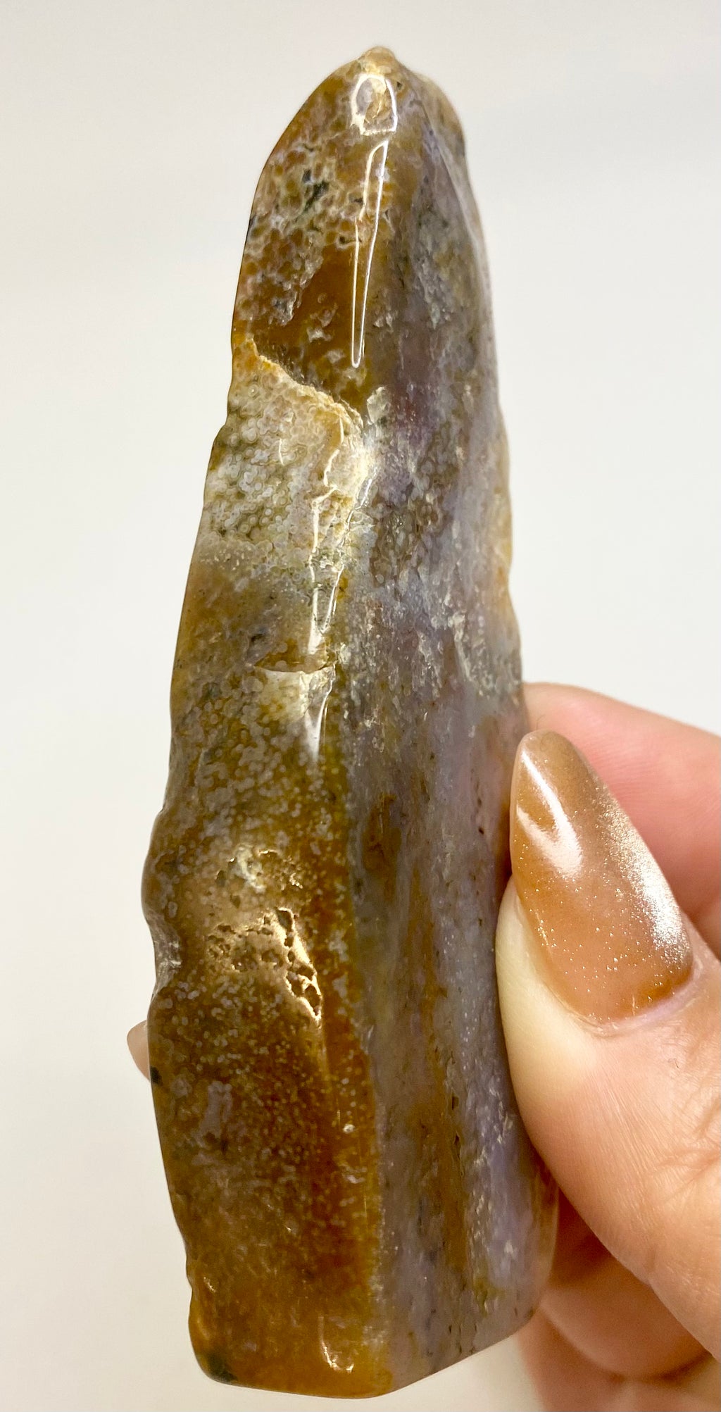 Polished Slice Ocean Jasper