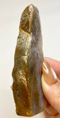 Polished Slice Ocean Jasper