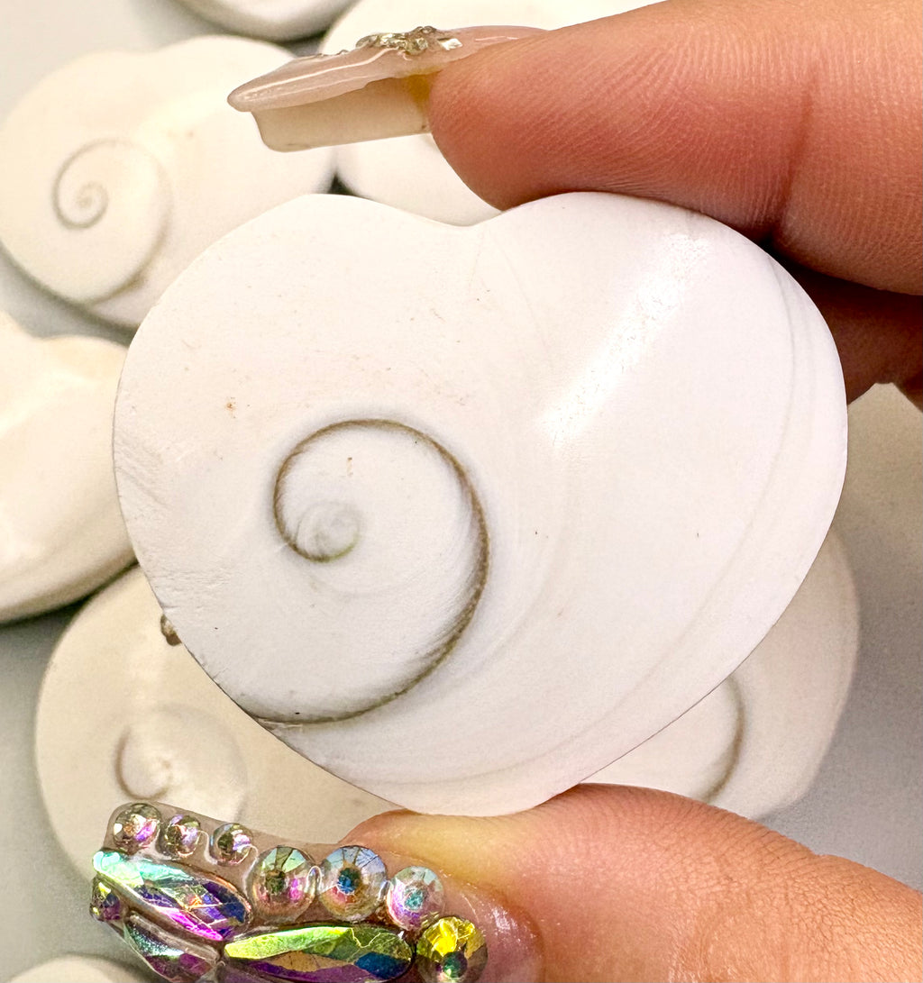Heart Shaped Shiva Shell