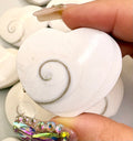 Heart Shaped Shiva Shell