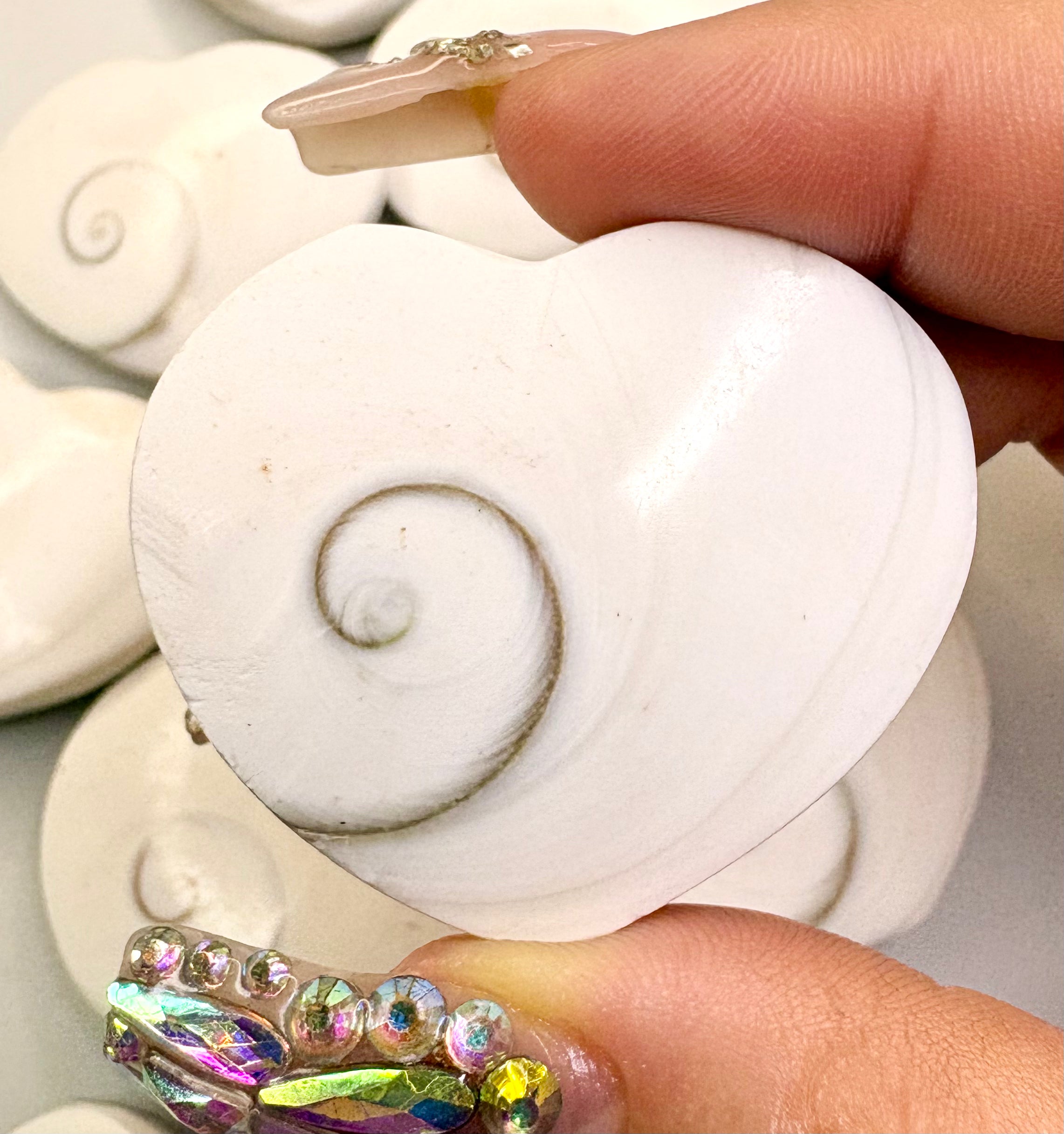 Heart Shaped Shiva Shell