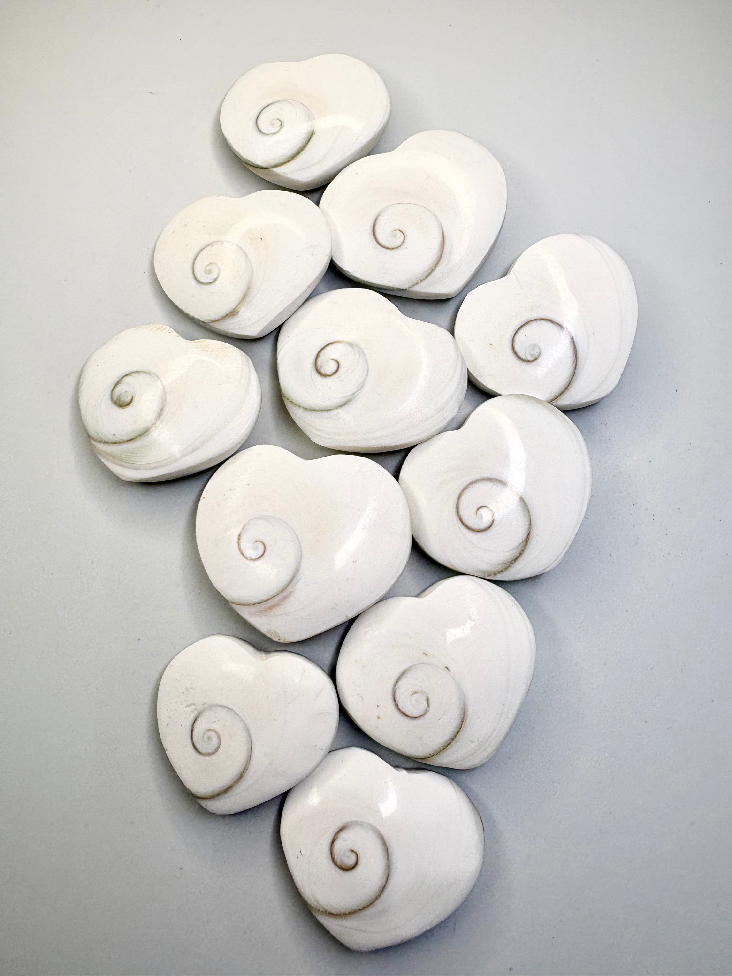 Heart Shaped Shiva Shell